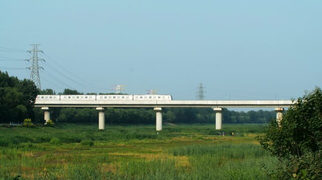 White passenger train on elevated bridge over green wetland landscape