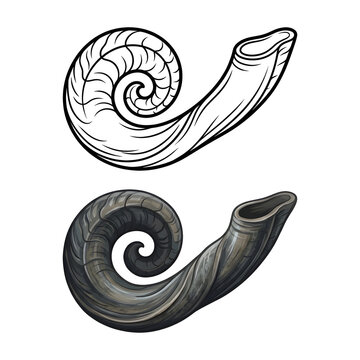 Shofar horn illustration set, traditional Jewish ritual instrument in line art and color.