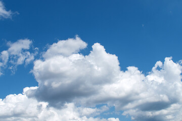Fototapeta premium Summer morning blue sky with clouds, macro.