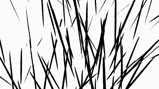Minimalist Black And White Grass Strokes Art Design Pattern Isolated