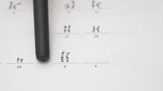 Close up of pen pointing at XX chromosomes on human karyotype paper