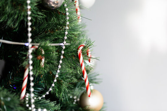 Red and white striped candy cane hanging in plastic Christmas tree with white copy space