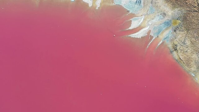 Aerial View of Pink Salt Lake and Mineral Shoreline in Arid Landscape