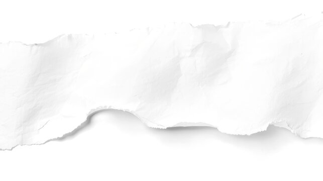 Torn paper lies against a stark white background