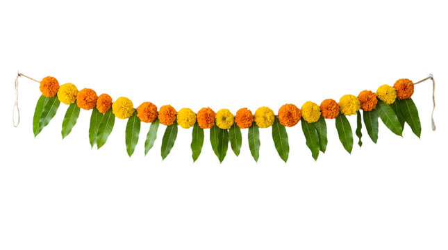 Traditional indian marigold flower and mango leaf toran isolated on transparent background
