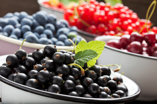 Bowl of black currants and bowls of other fruits in the background