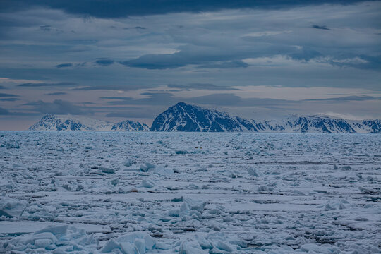 Arctic landscape featuring floating sea ice and snow-covered mountains under an overcast sky, landscape