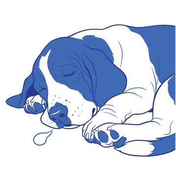 Peaceful Sleeping Dog Close Up Blue Line Art Illustration
