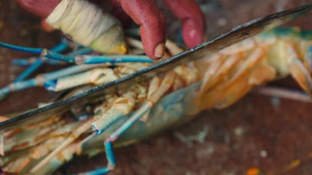 Cutting process of giant freshwater Rosenberg shrimp lat. Macrobrachium rosenbergii at fish market, seafood cutting process slow motion