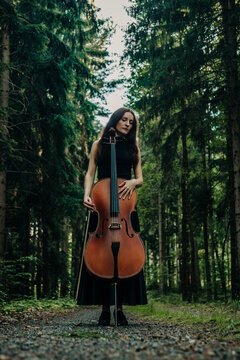 Woman holds a cello on a path in an autumn pine forest
