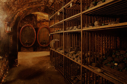 Wine casks and bottles in cellar