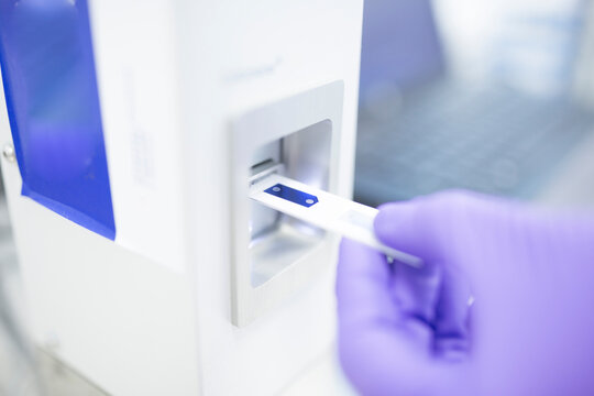 Preparation of check samples of stems in laboratory for drug production