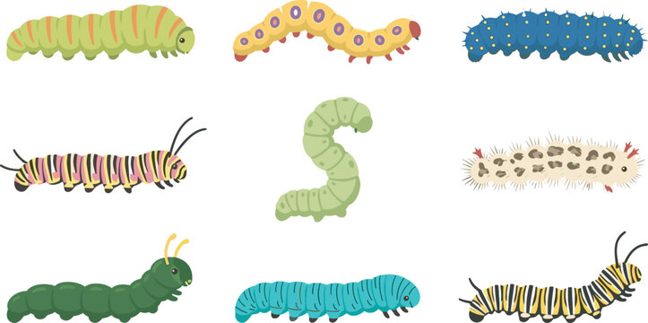 Cute cartoon caterpillar vector icon set with various colorful garden insect larvae characters for educational design
