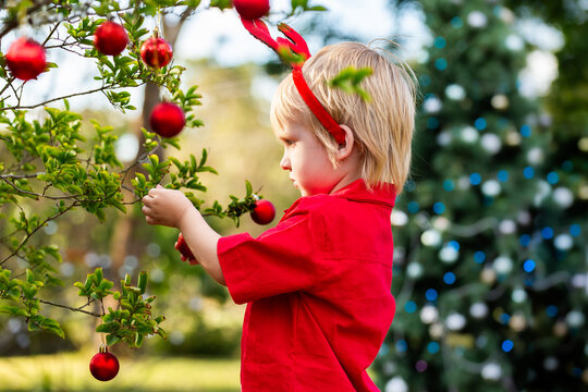 Little boy at Christmas time hanging red baubles on tree outside
