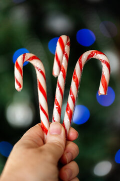 Hand holding three Red and white striped candy cane lollies at Christmas