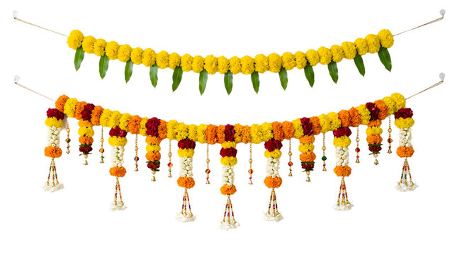 Traditional indian marigold flower toran garlands for festive home decoration isolated on transparent background