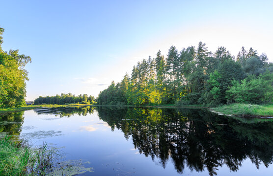 Wide river flows calmly surrounded by dense forest