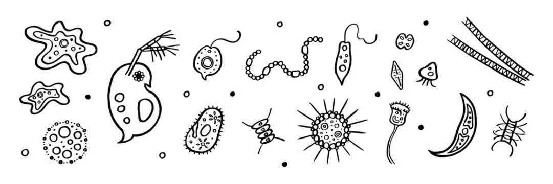 微生物とプランクトンの手描き線画セット