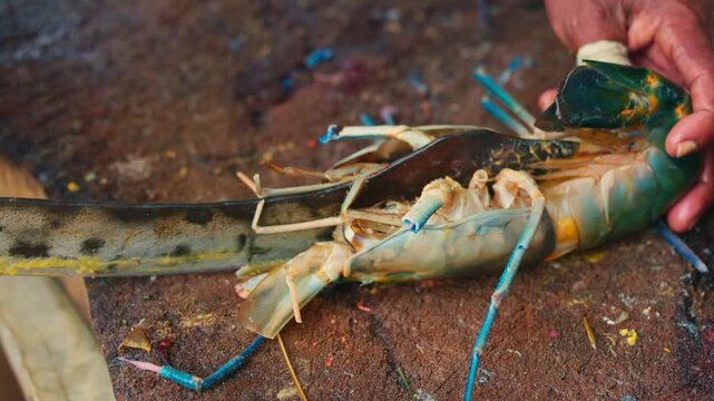 Cutting process of giant freshwater Rosenberg shrimp lat. Macrobrachium rosenbergii at fish market, seafood cutting process slow motion