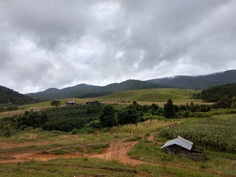 Rural Landscape with Rolling Hills and Small Farmhouses