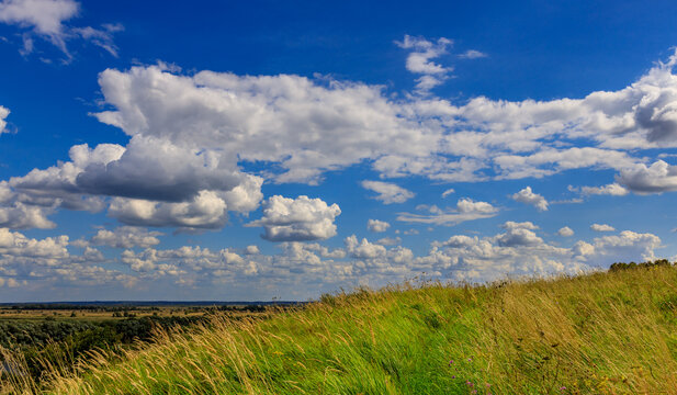 Vast field of tall grass under bright blue sky