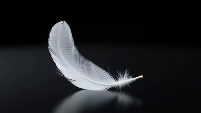 A single delicate white feather resting on a smooth black reflective surface.