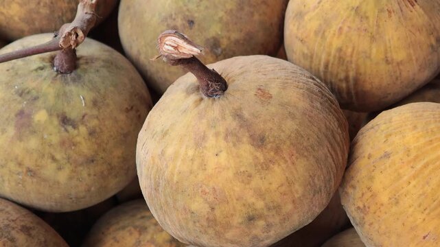 Fresh Santol for Sale at a Local Market