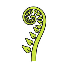 Green fern frond unfurling © desty