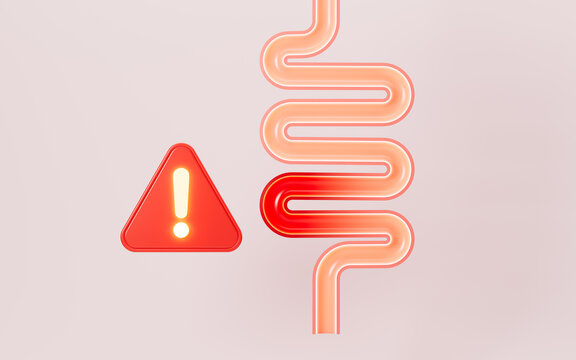 Human intestines, enteritis, intestinal flora imbalance, etc. 3d rendering.