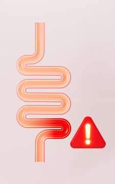 Human intestines, enteritis, intestinal flora imbalance, etc. 3d rendering.