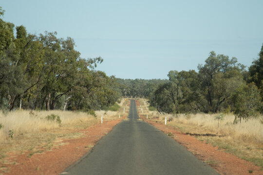 Single lane bitumen road through forest country