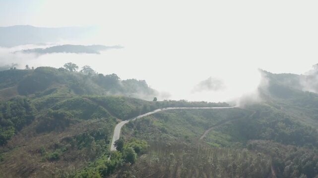 High-altitude drone shot of mountain rubber tree plantations shrouded in thick morning fog, Luang Namtha.