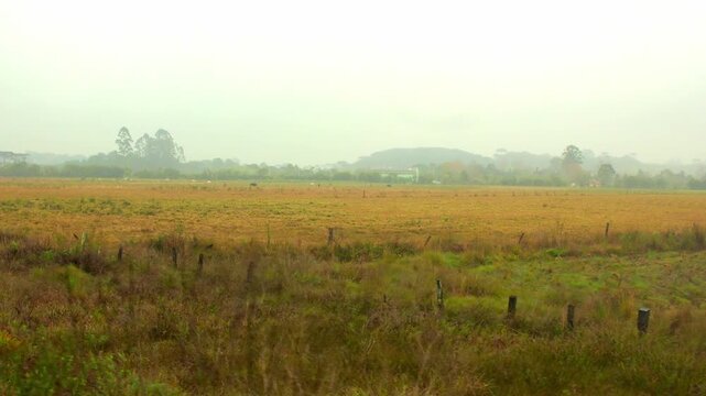 Atmospheric panning view over a vast, misty rural meadow and countryside landscape with wooden fence posts, captured from the window of the Curitiba to Morretes scenic train ride.
