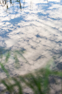 Riverside greenery dipping down towards water reflecting clouds in the sky