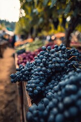 Naklejka premium Fresh Clusters of Dark Purple Grapes Displayed on a Wooden Table at a Rural Heritage Market Bazaar