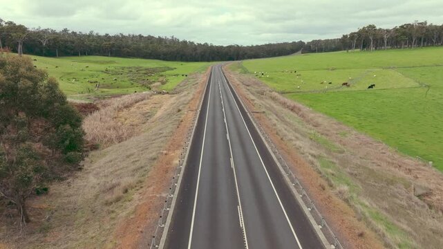 Slow forward drone flight over a country road running through lush green farmland near the Perup River, with cows passing through an underpass on an overcast day. A calm rural Australian landscape.