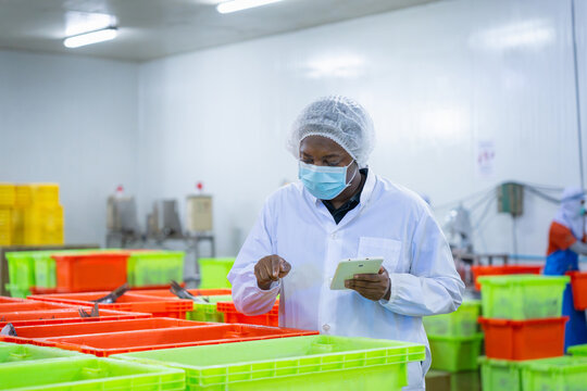 Quality control inspector with tablet checking seafood production in food processing plant, factory worker in protective uniform and face mask examining fresh fish sorting process