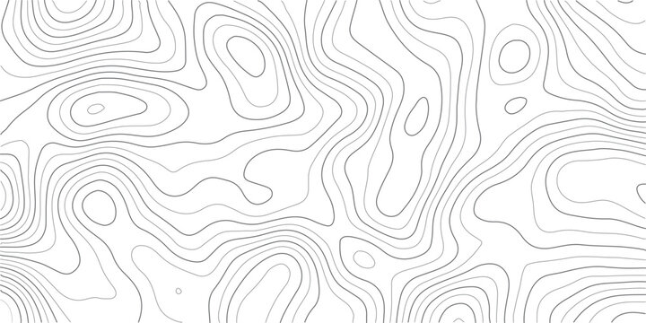 Topographic map vector background, abstract contour lines on white, minimalist geographic terrain pattern for web design
