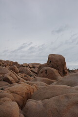 Weathered granite boulders with erosion holes under overcast sky in Joshua Tree National Park, California © knaknak