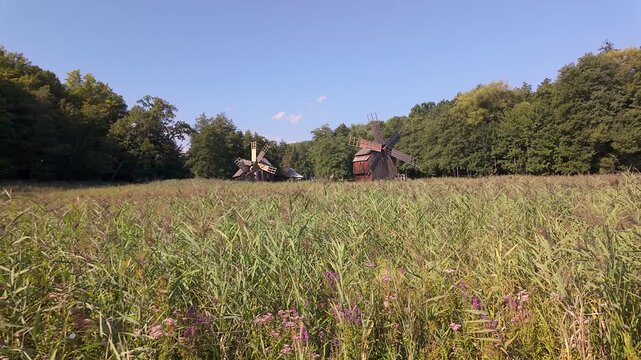 Historic wooden windmills rising beyond tall meadow vegetation in a rural Romanian landscape