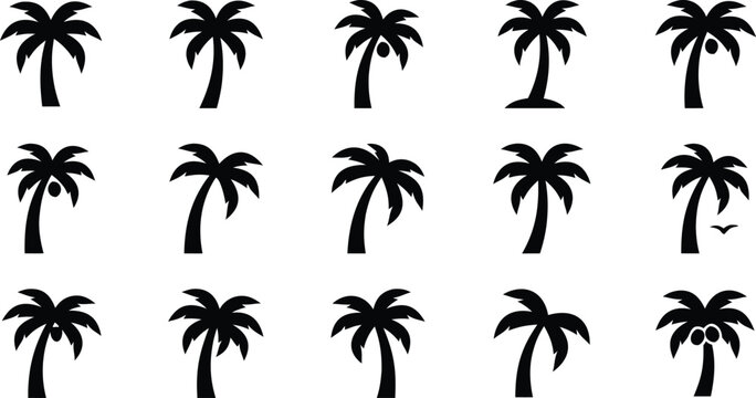 Palm tree icon set with coconut frond curved trunk island and seagull