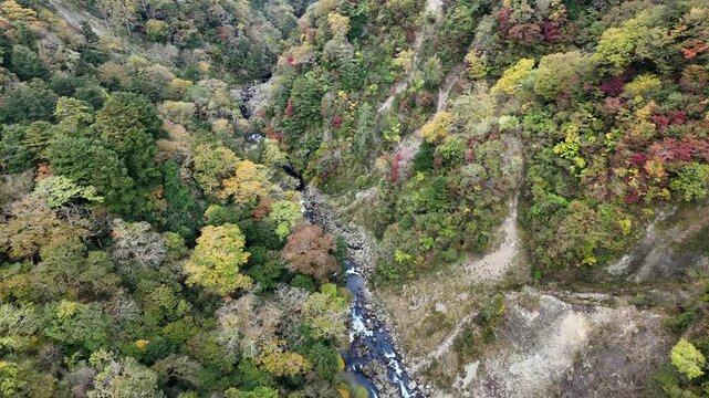 A scenic mountain valley in autumn featuring colorful foliage and a stream.