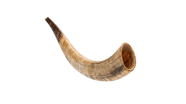 Ancient animal shofar horn musical wind instrument isolated on a white background