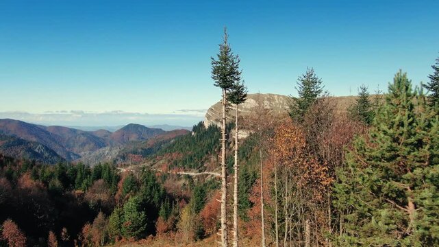 Drone flying closely past young tree saplings revealing scenic mountain view and rock formation in Yedigoller National Park