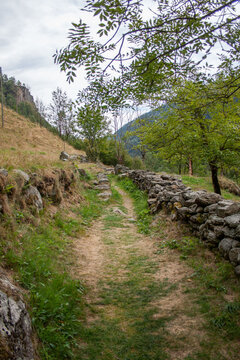 tallorno