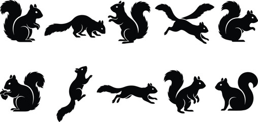 Fototapeta premium Set of black silhouettes of squirrels in various poses isolated on a white background