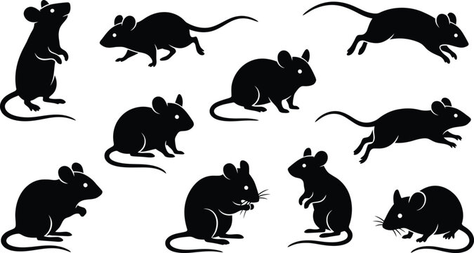 Set of black silhouettes of various mice in different poses isolated on a white background