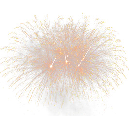 Obraz premium Abstract Golden Firework Burst with Sparkling Particles