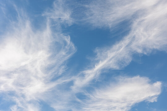 Wispy cirrus clouds drift across vivid blue sky, forming delicate featherlike patterns with soft texture and natural motion. Calm atmospheric scene conveys freedom, serenity, weather, space, openness