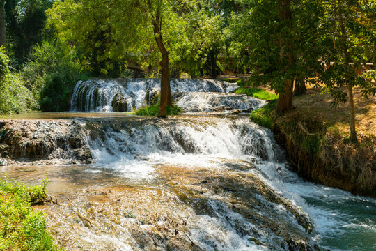 Vista vertical en plano medio de una serie de cascadas y r&aacute;pidos naturales de agua en el Monasterio de Piedra, fluyendo sobre formaciones rocosas cubiertas de musgo en un entorno boscoso verde y solea